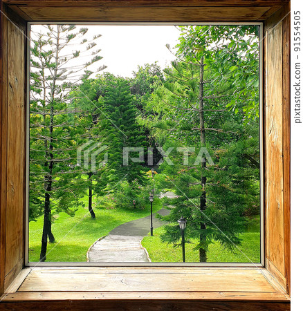 nature view from Cafe in nature - Natural area in the cafe, Concept and design of Coffee Shop nature view from Cafe in nature - Natural area in the cafe, Concept and design of Coffee Shop 91554505