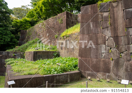 [石川縣]金澤城跡 91554813