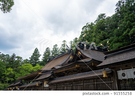 [Wakayama Prefecture] Kumano Hongu Taisha Shrine 91555258