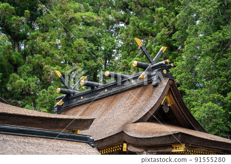 [Wakayama Prefecture] Kumano Hongu Taisha Shrine 91555280