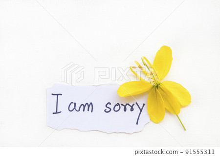 i am sorry message card handwriting with yellow butterfly flowers i am sorry message card handwriting with yellow butterfly flowers 91555311