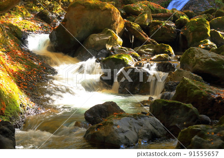 Beautiful autumn Katsura River valley Beautiful autumn Katsura River valley 91555657