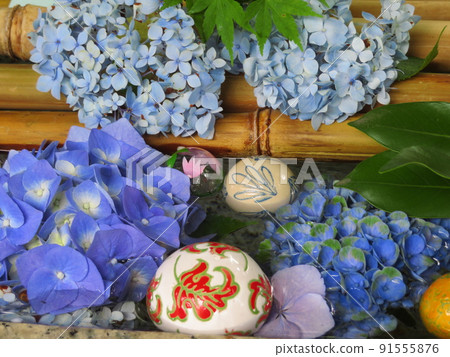 繡球花和悠悠球漂浮在水面上 91555876