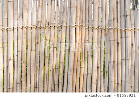 Bamboo poles are tied together in the row to be partition and wall. 91555921