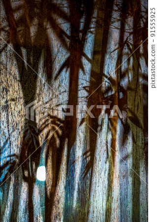 Bamboo shadow abstract on the frosted glass in the raining peroid at the night with spotlight from outside. This image  look fresh cool weather and mystery or horror feeling in the same time. 91555925