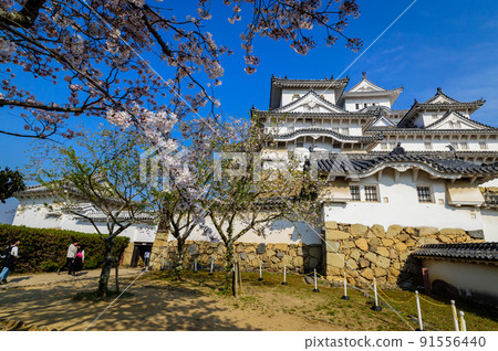 姬路城前的風景,西北小塔(左)和西小塔(右),4月6日,日本 姬路城前的風景,西北小塔(左)和西小塔(右),4月6日,日本 91556440