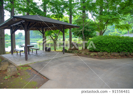 上尾丸山公園長廊初夏風景 上尾丸山公園長廊初夏風景 91556481