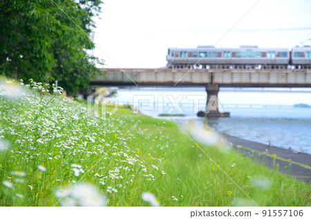 A train crossing the Halzion herd and the iron bridge A train crossing the Halzion herd and the iron bridge 91557106