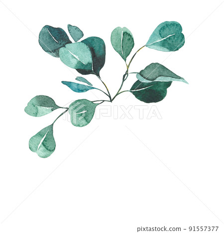 清爽的葉子裝飾水彩 91557377