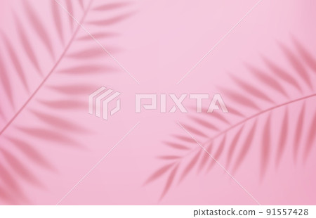 Empty studio abstract background Empty studio abstract background 91557428