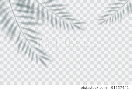 shadow overlay effect. 91557441