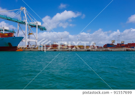 Many containers at Port Miami, one of the largest cargo port Many containers at Port Miami, one of the largest cargo port 91557699