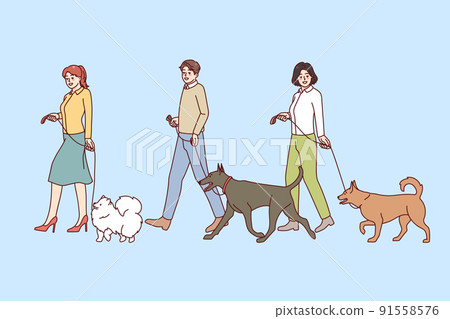People walking with dogs on leashes  91558576