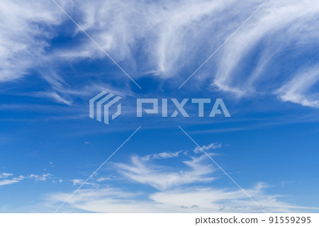 Blue sky / white clouds Blue sky / white clouds 91559295