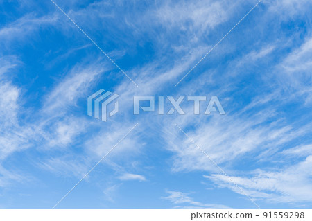 Blue sky / white clouds Blue sky / white clouds 91559298