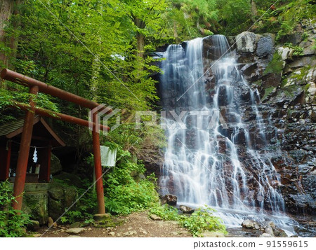 Hahanoshirataki at Kawaguchi Asama Shrine Hahanoshirataki at Kawaguchi Asama Shrine 91559615
