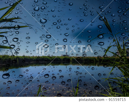 Natural landscape of the lake in rainy weather. Natural landscape of the lake in rainy weather. 91559715