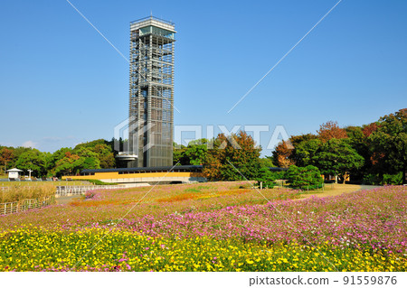Observation tower of Lake Hamana Garden Park 91559876