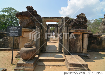 Sri Lanka Boron Narwa Sri Lanka Boron Narwa 91559956