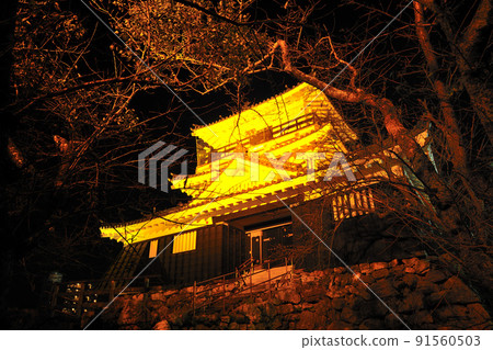 Illumination of Hamamatsu Castle 91560503