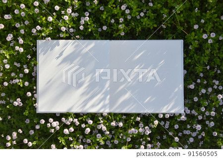 A morning garden with beautiful florets, a white book with shadows of flower leaves 91560505