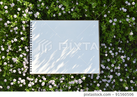 早間花園裡有美麗小花和花葉陰影的速寫本 91560506