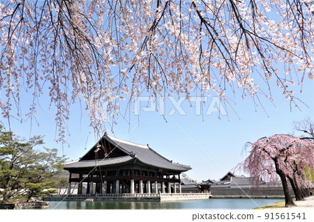 Forbidden City. 91561541