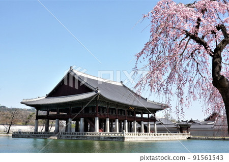 Forbidden City. Forbidden City. 91561543