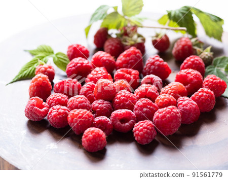 raspberry 91561779