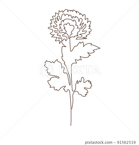 10 Minimalist chrysanthemum tattoo examples