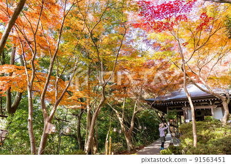 Omihachiman City, Shiga Prefecture Omihachiman Castle, Omihachiman Castle, located on the summit of Mt. 91563451