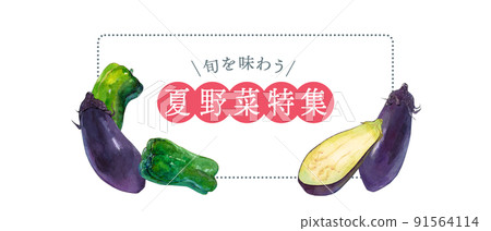 Watercolor illustration of summer vegetables 91564114