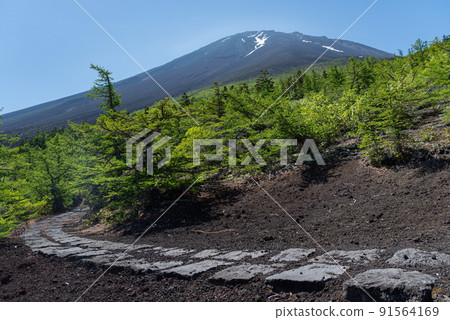 一邊遠足一邊眺望富士山 91564169