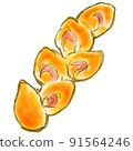 Bacon Epi 91564246