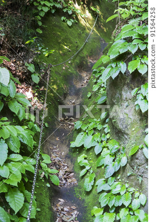 岩室觀音堂的母鏈 / 埼玉縣比木郡吉見町 岩室觀音堂的母鏈 / 埼玉縣比木郡吉見町 91564258