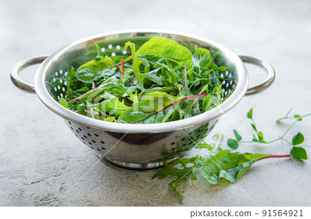Mix of fresh green salad leaves with arugula and beets 91564921