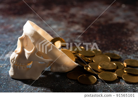 Skull model and gold coins Skull model and gold coins 91565101