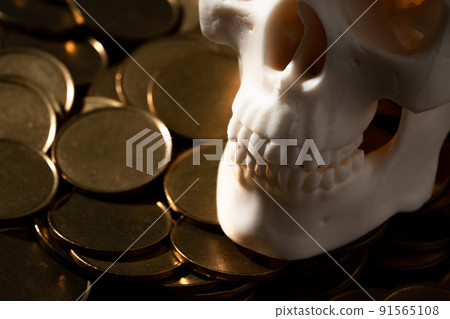 Skull model and gold coins Skull model and gold coins 91565108