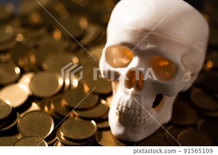 Skull model and gold coins Skull model and gold coins 91565109