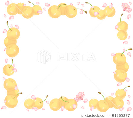 Soft cherries and cherry blossom petal frame white ver 91565277