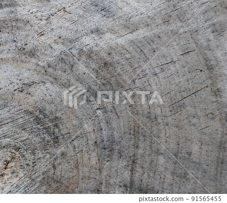 Background from cross section of tree trunk. Abstract texture from the rings of old weathered wood with a crack 91565455