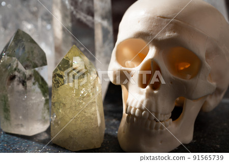 Skull model and crystal Skull model and crystal 91565739