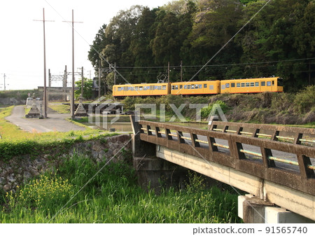 A train on the Sangi Railway Hokusei Line that runs sideways to the torii gate and stone lanterns at the entrance of the shrine. A train on the Sangi Railway Hokusei Line that runs sideways to the torii gate and stone lanterns at the entrance of the shrine. 91565740