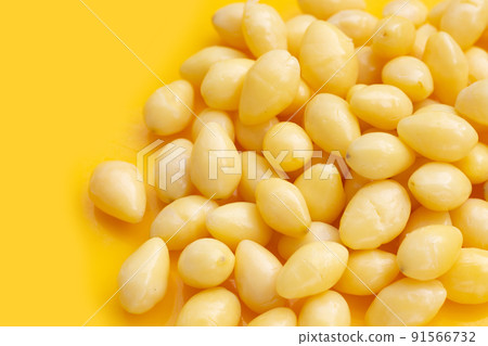 Boiled ginkgo nuts on yellow background. Boiled ginkgo nuts on yellow background. 91566732