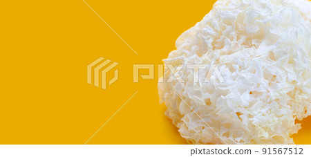 Tremella Mushroom on yellow background. 91567512