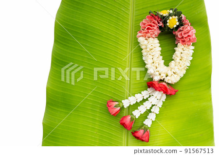 Rose with crown flower and jasmine garland 91567513