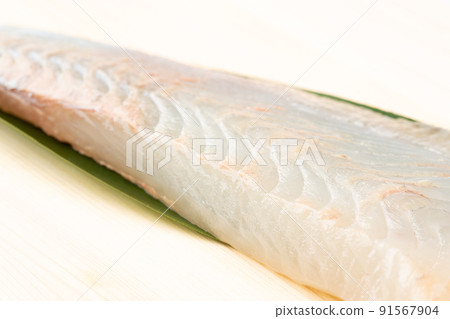 比目魚柵欄 91567904