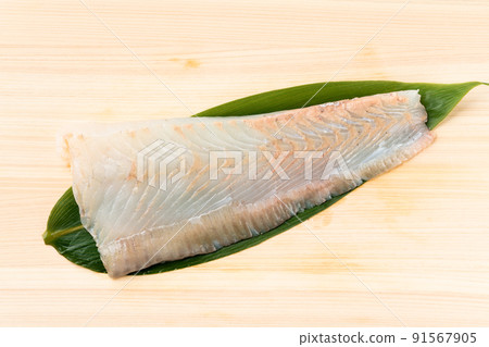 比目魚柵欄 比目魚柵欄 91567905