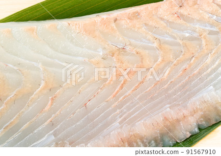 比目魚柵欄 91567910