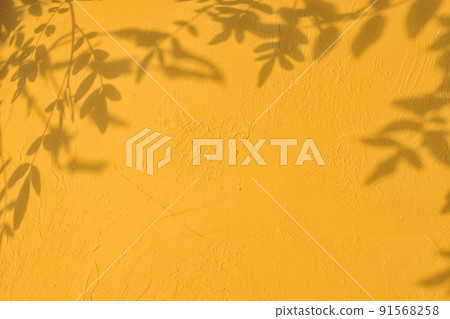 Shadow of leaves on yellow concrete wall texture background Shadow of leaves on yellow concrete wall texture background 91568258